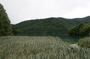 gal/cro 08/_thb_small-IMG_5631.JPG